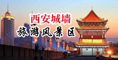 骚屄在线中国陕西-西安城墙旅游风景区