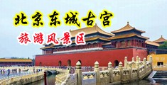外国人日BB影院中国北京-东城古宫旅游风景区